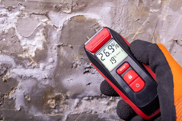 Mold Removal Process in Southmayd, TX